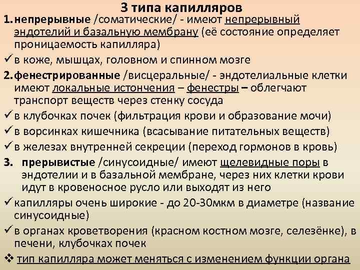 3 типа капилляров 1. непрерывные /соматические/ - имеют непрерывный эндотелий и базальную мембрану (её