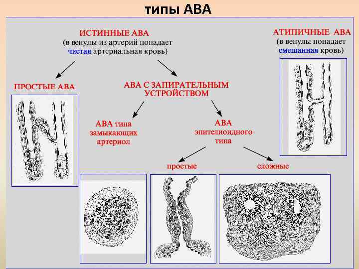 типы АВА 