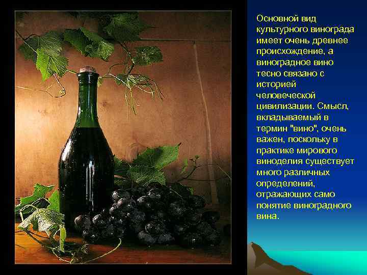 Основной вид культурного винограда имеет очень древнее происхождение, а виноградное вино тесно связано с