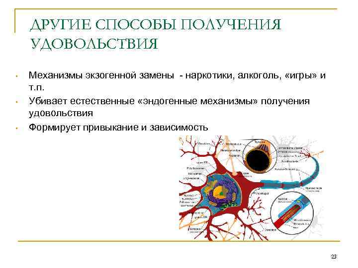 ДРУГИЕ СПОСОБЫ ПОЛУЧЕНИЯ УДОВОЛЬСТВИЯ • • • Механизмы экзогенной замены - наркотики, алкоголь, «игры»