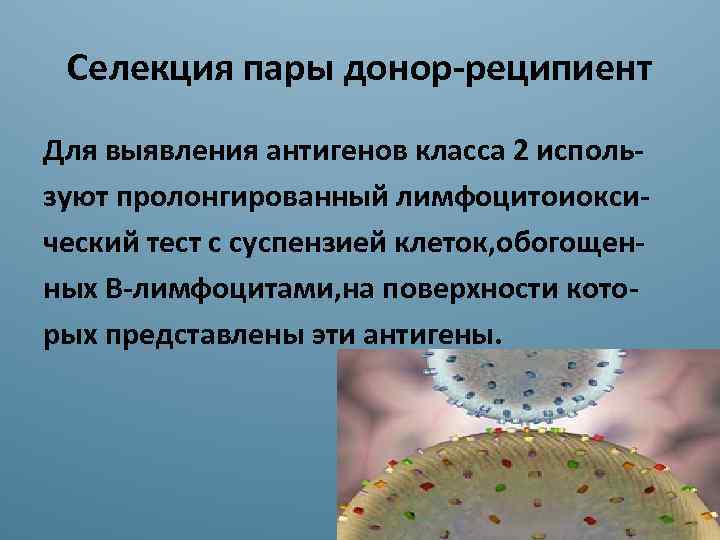 Лимфоцитотоксический тест схема