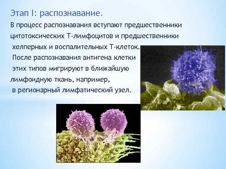 Этапы распознавания