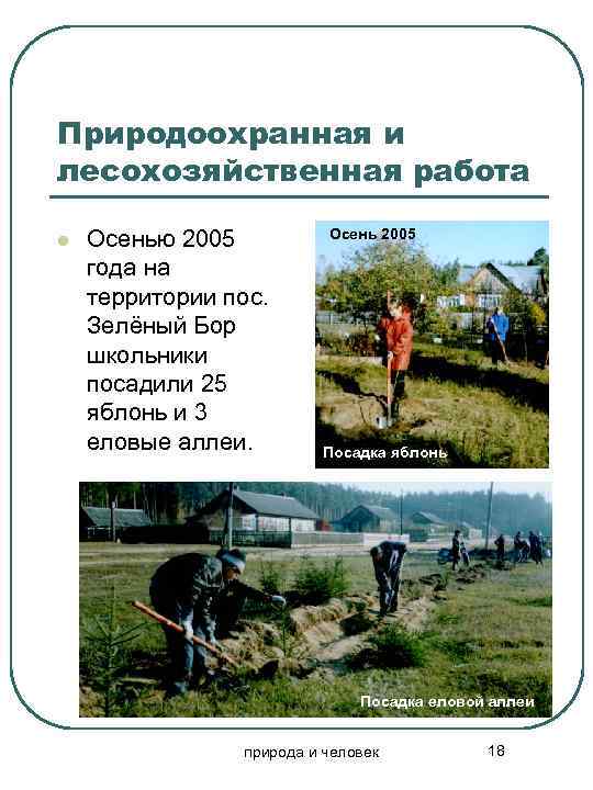 Природоохранная и лесохозяйственная работа l Осенью 2005 года на территории пос. Зелёный Бор школьники