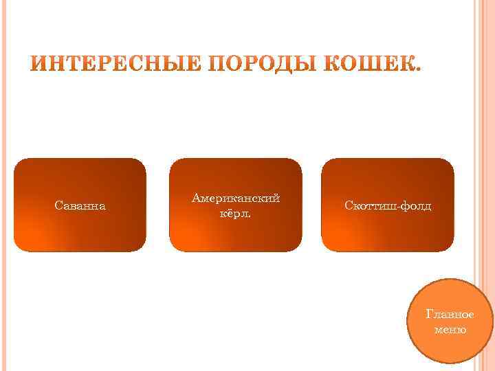 Саванна Американский кёрл. Скоттиш-фолд Главное меню 
