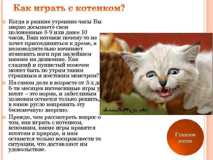  Когда в ранние утренние часы Вы мирно досыпаете свои положенные 8 -9 или