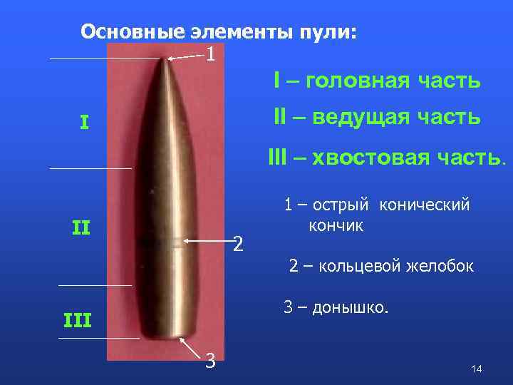 Осмотрите пулю и гильзу измерьте и обозначьте на рисунке их калибры