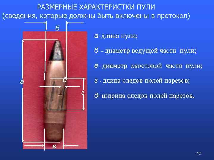 Протокол осмотра пули и гильзы образец