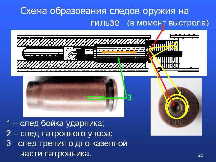 Схема основных и дополнительных следов выстрела на преграде