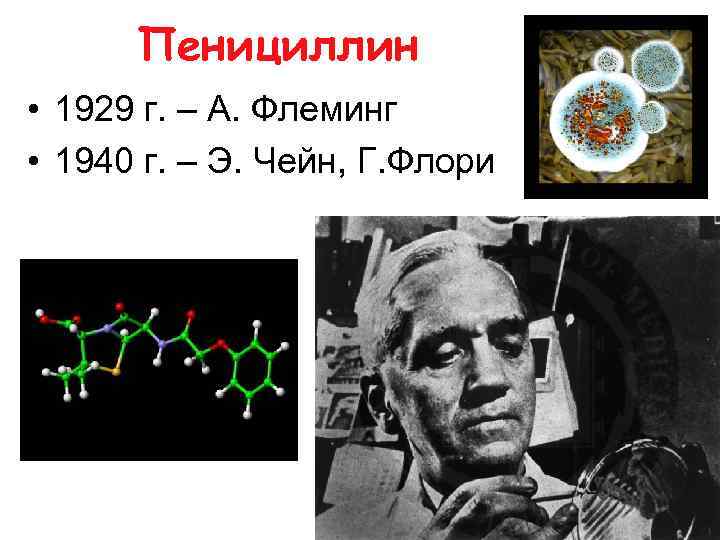 Пенициллин • 1929 г. – А. Флеминг • 1940 г. – Э. Чейн, Г.