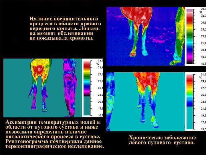 Инфракрасные и тепловые методы получения информации 