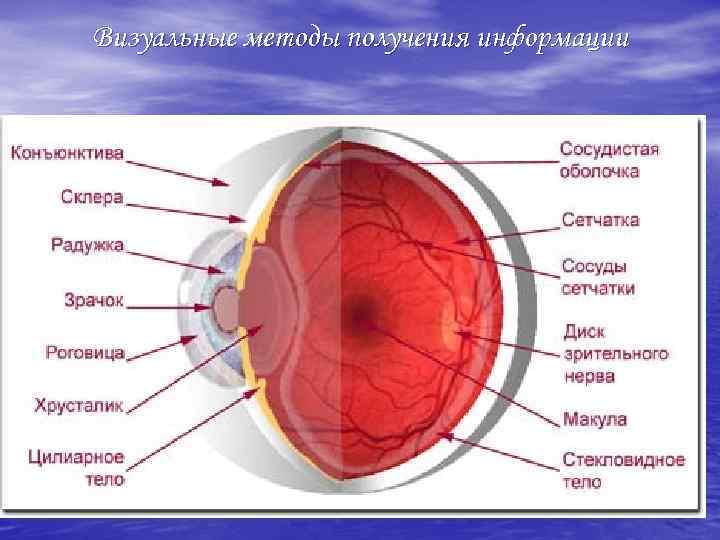 Визуальные методы получения информации 