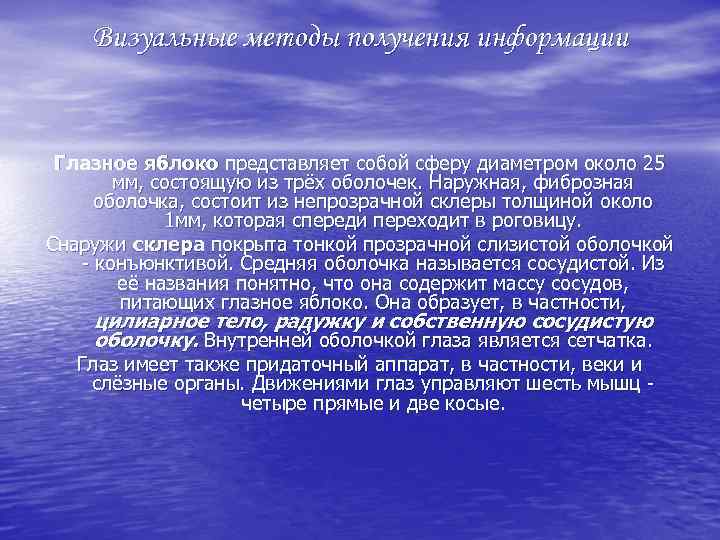 Визуальные методы получения информации Глазное яблоко представляет собой сферу диаметром около 25 мм, состоящую