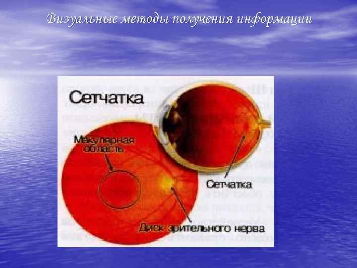 Визуальные методы получения информации 