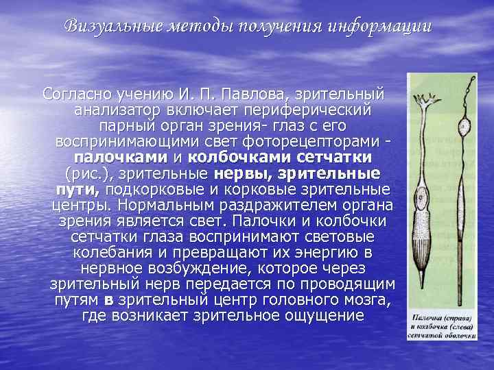 Визуальные методы получения информации Согласно учению И. П. Павлова, зрительный анализатор включает периферический парный