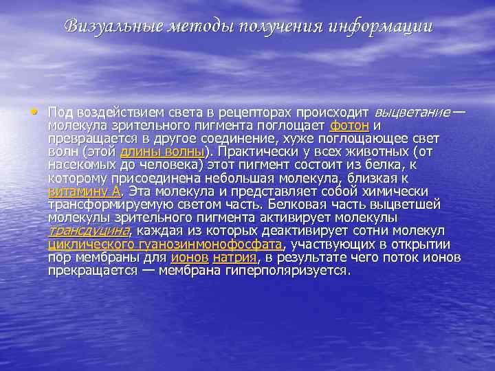 Визуальные методы получения информации • Под воздействием света в рецепторах происходит выцветание — молекула