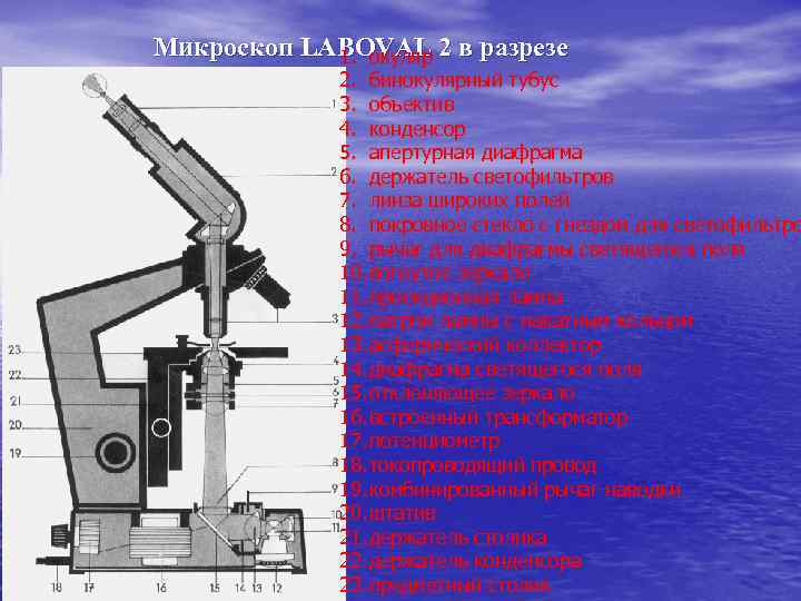  Микроскоп LABOVAL 2 в разрезе 1. окуляр 2. бинокулярный тубус 3. объектив 4.