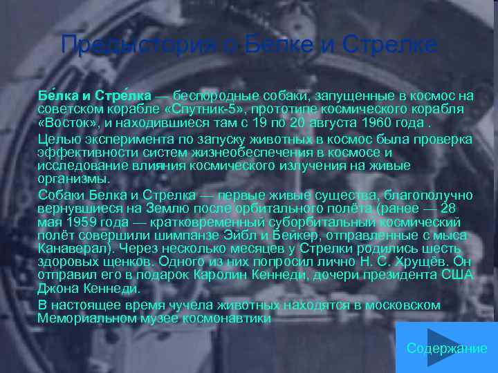 Предыстория о Белке и Стрелке Бе лка и Стре лка — беспородные собаки, запущенные