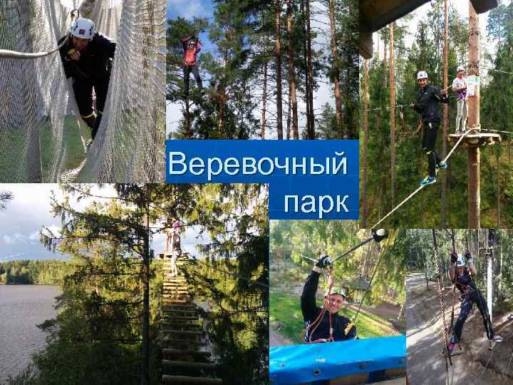 Веревочный парк 