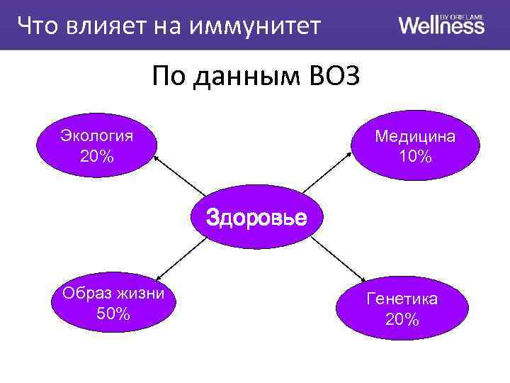 Диаграмма взаимосвязи здоровья и образа жизни