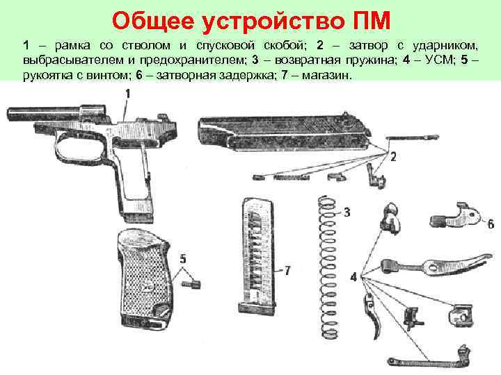 Общее устройство ПМ 1 – рамка со стволом и спусковой скобой; 2 – затвор