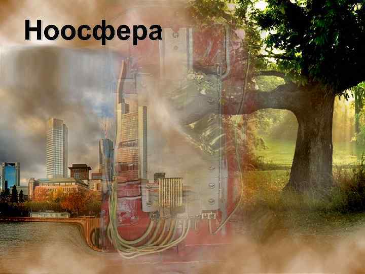 Ноосфера 