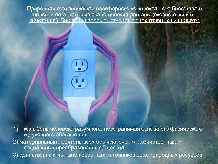 Природная составляющая ноосферного комплекса - это биосфера в целом и ее отдельные экологические регионы