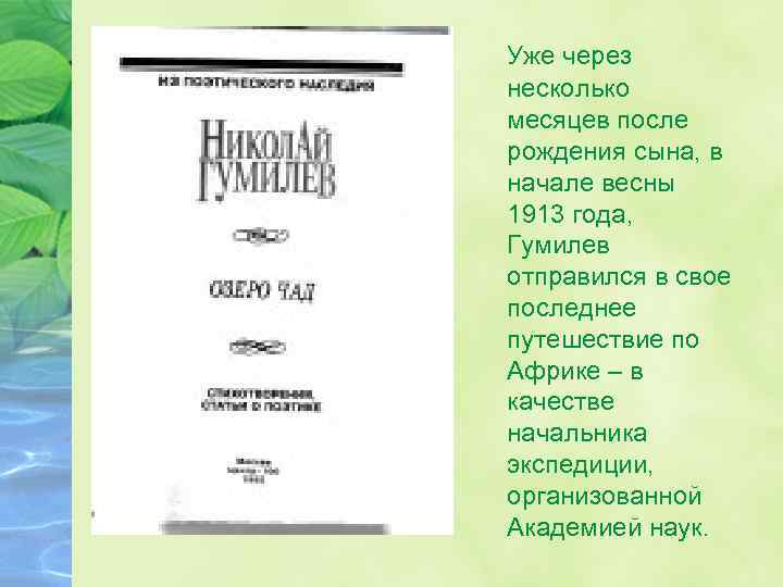 Уже через несколько месяцев после рождения сына, в начале весны 1913 года, Гумилев отправился