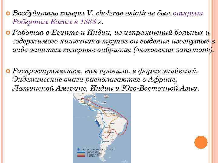 Возбудитель холеры V. cholerae asiaticae был открыт Робертом Кохом в 1883 г. Работая в