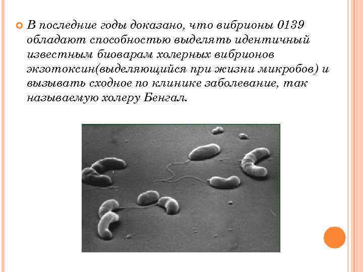  В последние годы доказано, что вибрионы 0139 обладают способностью выделять идентичный известным биоварам