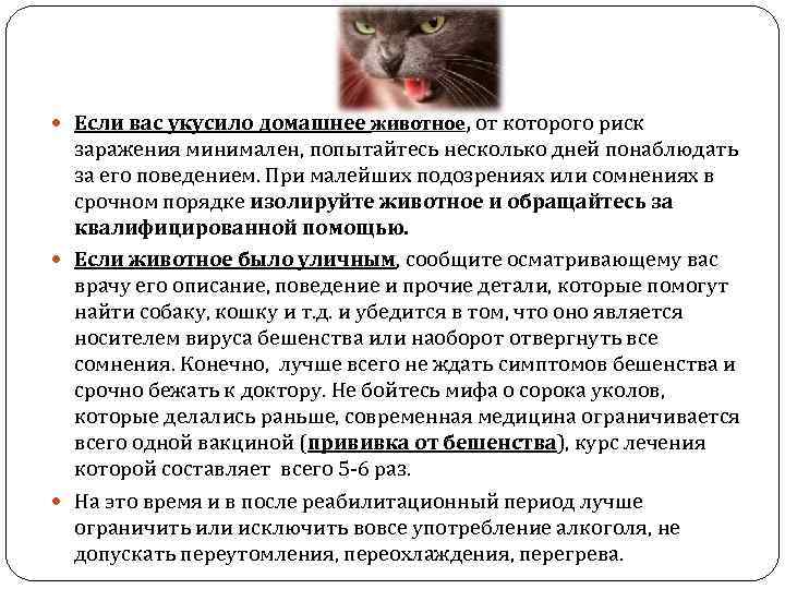  Если вас укусило домашнее животное, от которого риск заражения минимален, попытайтесь несколько дней