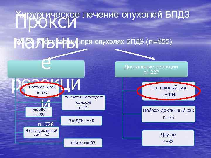 Прокси мальны е резекци и Хирургическое лечение опухолей БПДЗ Всего оперировано при опухолях БПДЗ