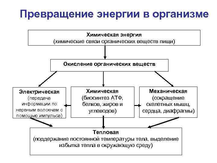 Схема превращения энергии