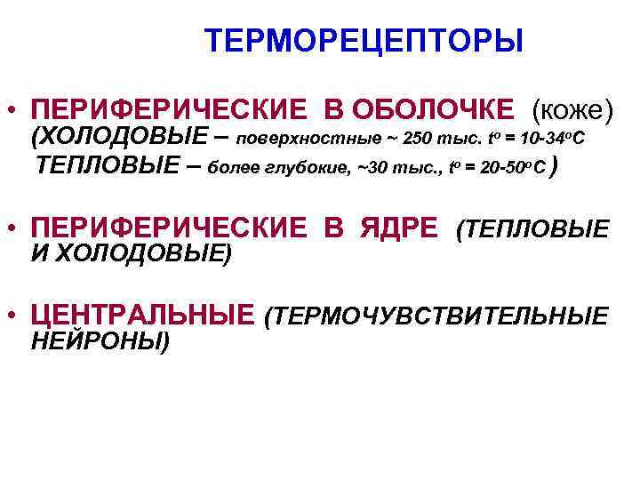 ТЕРМОРЕЦЕПТОРЫ • ПЕРИФЕРИЧЕСКИЕ В ОБОЛОЧКЕ (коже) (ХОЛОДОВЫЕ – поверхностные ~ 250 тыс. to =