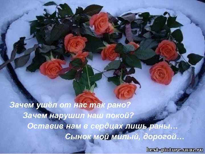 Зачем ушёл от нас так рано? Зачем нарушил наш покой? Оставив нам в сердцах