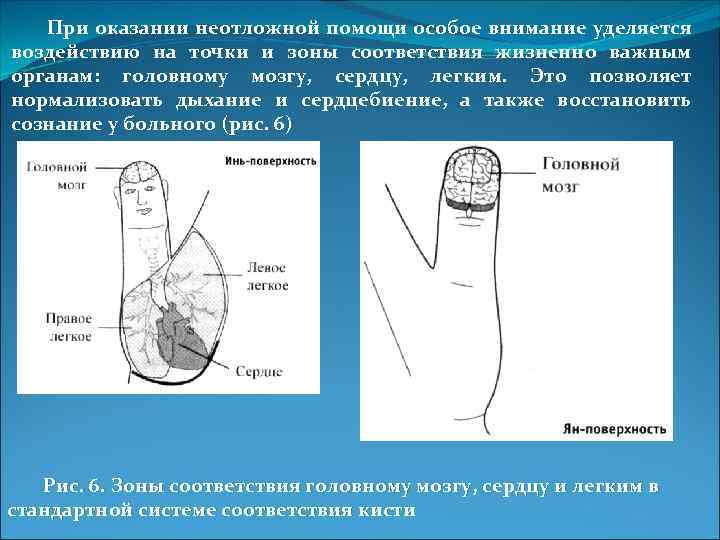 При оказании неотложной помощи особое внимание уделяется воздействию на точки и зоны соответствия жизненно