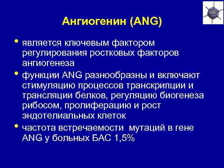 Ангиогенин (ANG) • является ключевым фактором • • регулирования ростковых факторов ангиогенеза функции ANG