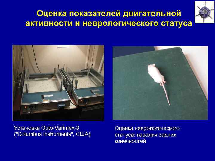 Оценка показателей двигательной активности и неврологического статуса Установка Opto-Varimex-3 ("Columbus instruments", США) Оценка неврологического