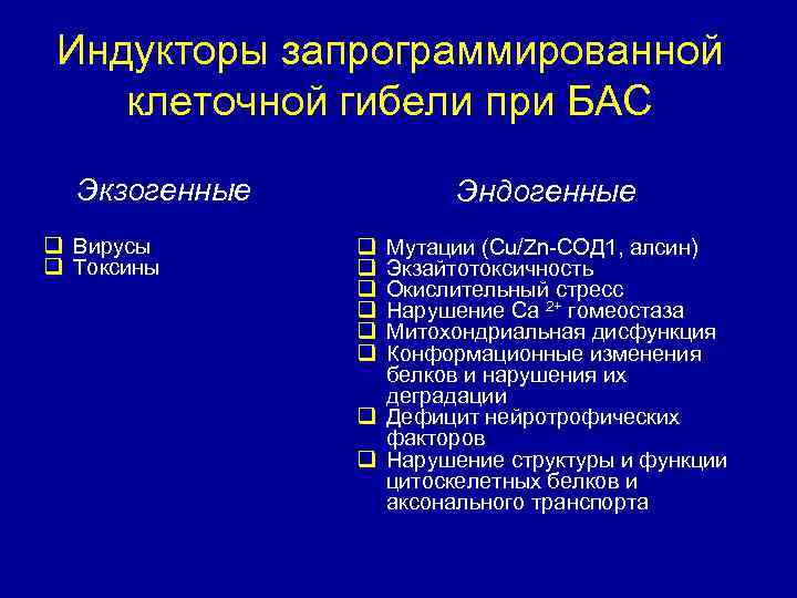 Индукторы запрограммированной клеточной гибели при БАС Экзогенные q Вирусы q Токсины Эндогенные q q