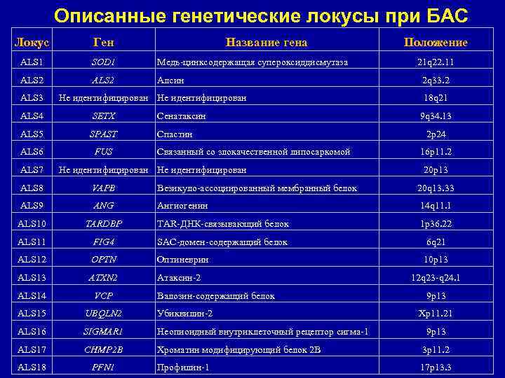 Описанные генетические локусы при БАС Локус Ген ALS 1 SOD 1 Медь-цинксодержащая супероксиддисмутаза ALS