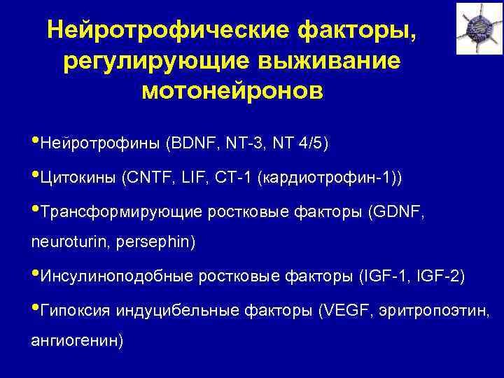 Нейротрофические факторы, регулирующие выживание мотонейронов • Нейротрофины (BDNF, NT-3, NT 4/5) • Цитокины (CNTF,