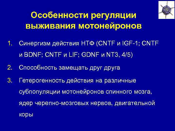 Особенности регуляции выживания мотонейронов 1. Синергизм действия НТФ (CNTF и IGF-1; CNTF и BDNF;