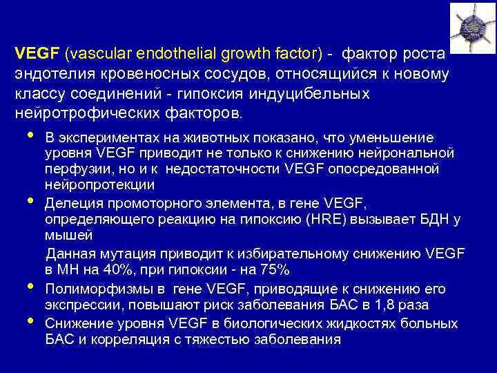 VEGF (vascular endothelial growth factor) - фактор роста эндотелия кровеносных сосудов, относящийся к новому