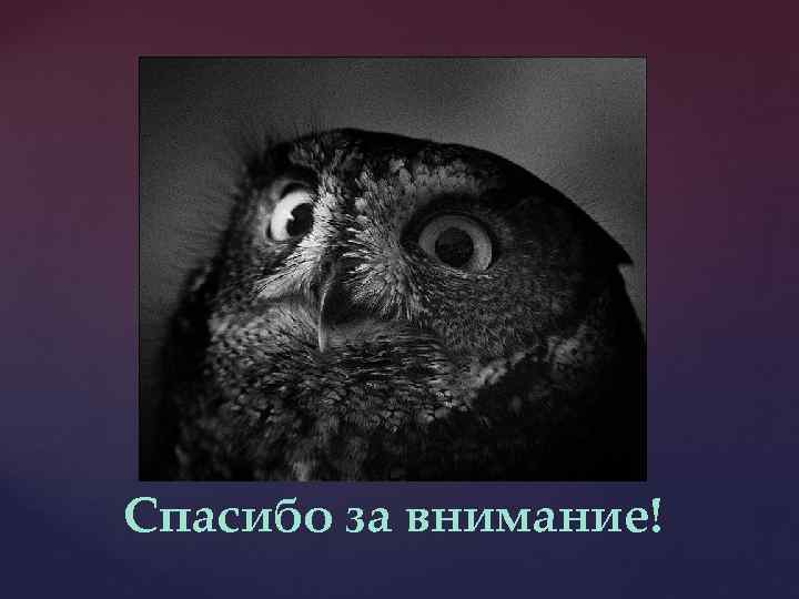 Спасибо за внимание! 