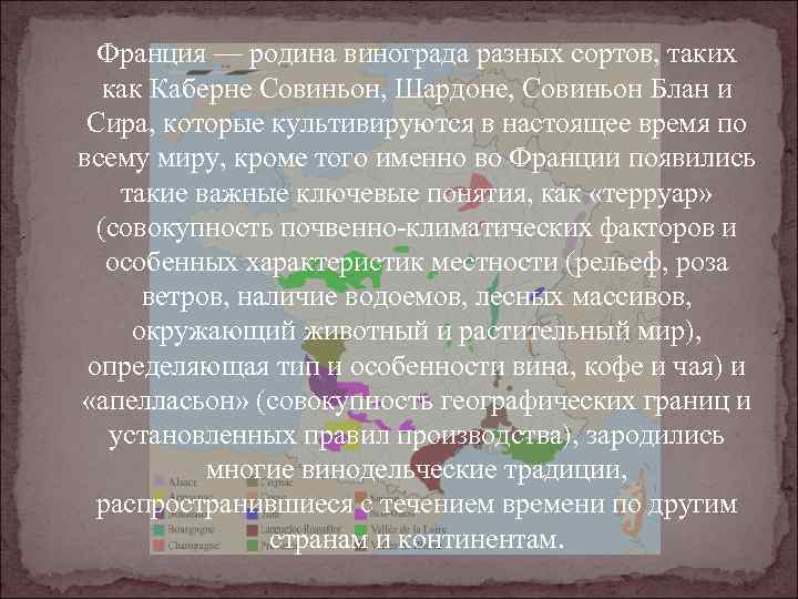 Франция — родина винограда разных сортов, таких как Каберне Совиньон, Шардоне, Совиньон Блан и