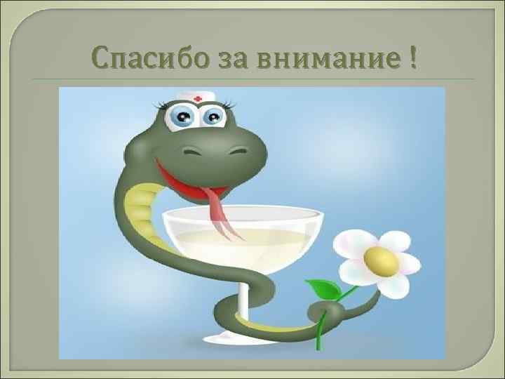 Спасибо за внимание ! 