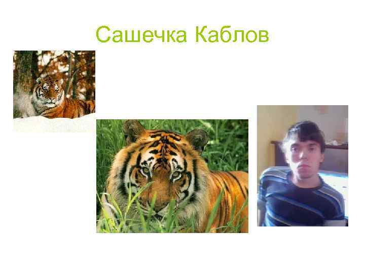 Сашечка Каблов 