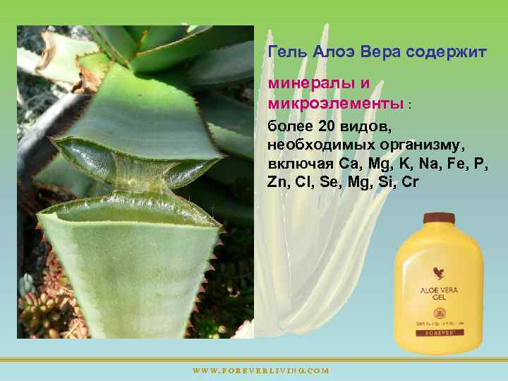 Гель Алоэ Вера содержит минералы и микроэлементы : более 20 видов, необходимых организму, включая