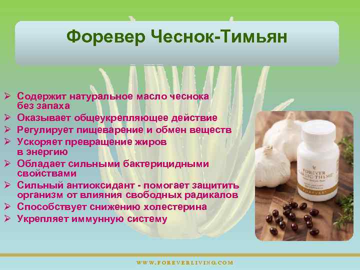 Форевер Чеснок Тимьян Ø Содержит натуральное масло чеснока без запаха Ø Оказывает общеукрепляющее действие