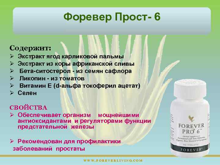 Форевер Прост 6 Содержит: Ø Ø Ø Экстракт ягод карликовой пальмы Экстракт из коры