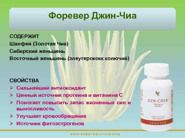 Форевер Джин Чиа СОДЕРЖИТ Шалфей (Золотая Чиа) Сибирский женьшень Восточный женьшень (элеутерококк колючий) СВОЙСТВА